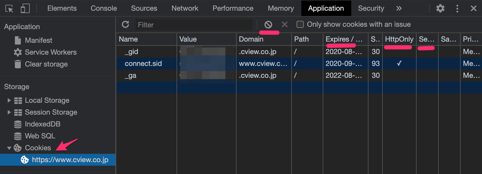 devtools Cookie